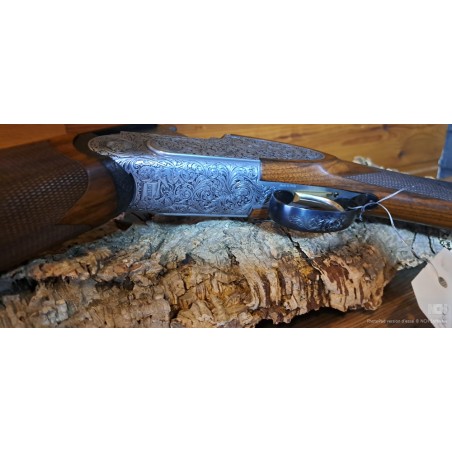 Rizzini Artemis