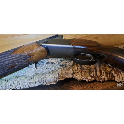 Fusil Blaser F16