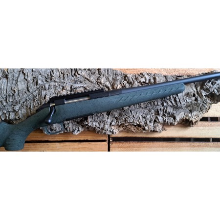 Carabine Ruger Glenfield Modèle A 2