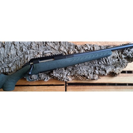 Carabine Ruger Glenfield Modèle A