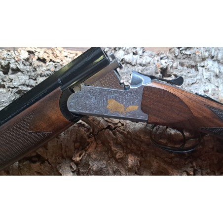 Express Fair Premier