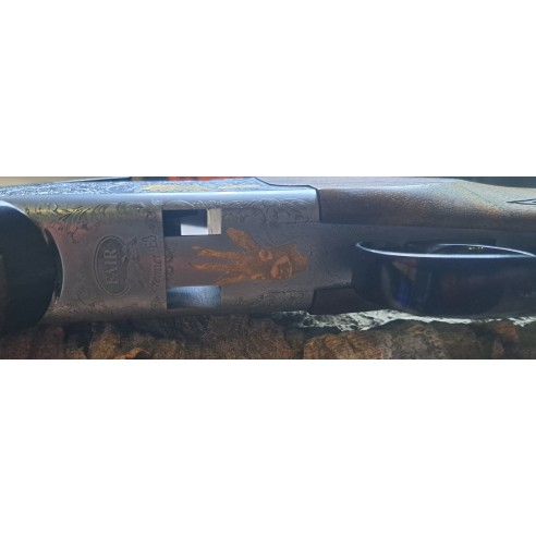 Express Fair Premier