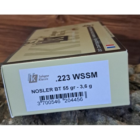 BALLES SOLOGNE NOSLER BT 223 WSSM