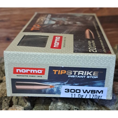 BALLES NORMA TIPSTRIKE 300WSM 170 GR