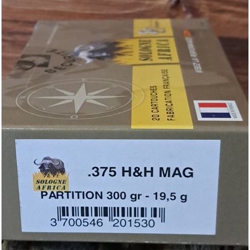 BALLES 375H-H MAG 300GR-19.5GR PARTITION SOLOGNE