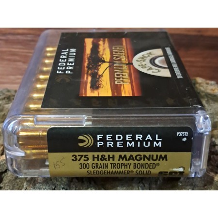 BALLES 375 HH MAGNUM FEDERAL / 300 GRAIN TROPHY