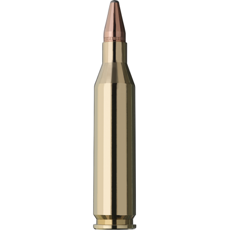 BALLES RWS 243WIN 96GR 6.2G KS 2