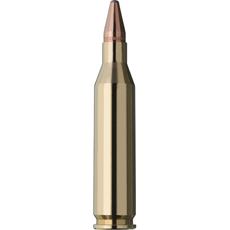 BALLES RWS 243WIN 96GR 6.2G KS