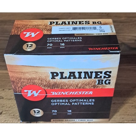 Winchester plaines 36bg