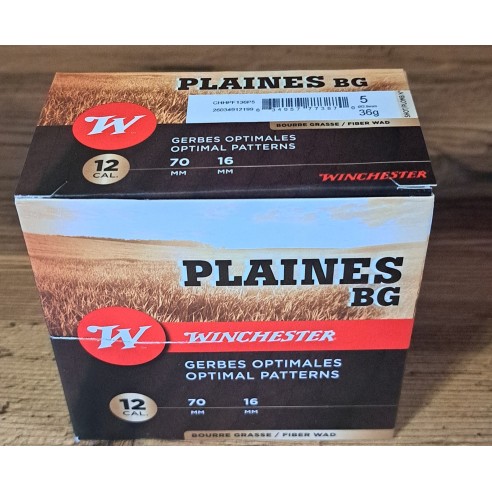 Winchester plaines 36bg