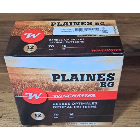 Winchester plaines 36bg