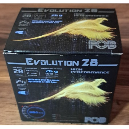 FOB EVOLUTION 28