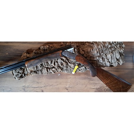 Rizzini BR 220