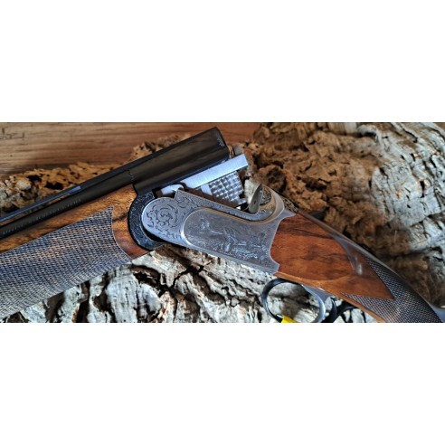 Rizzini BR 220