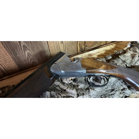 Rizzini BR 220