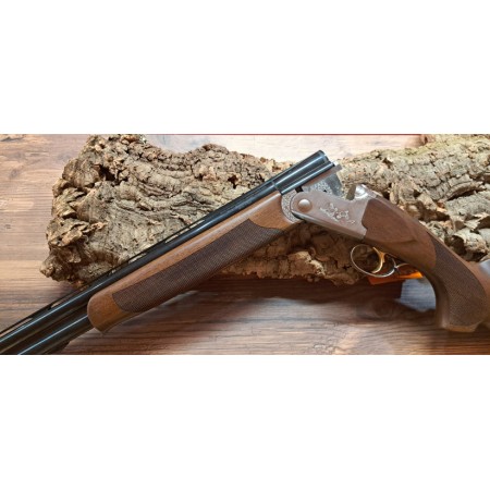 Bettinsoli Xtra 12 2