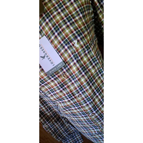 Chemise Lovergreen Tomy